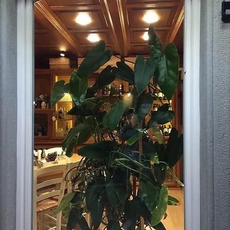Hotel Val Del Rio 3*