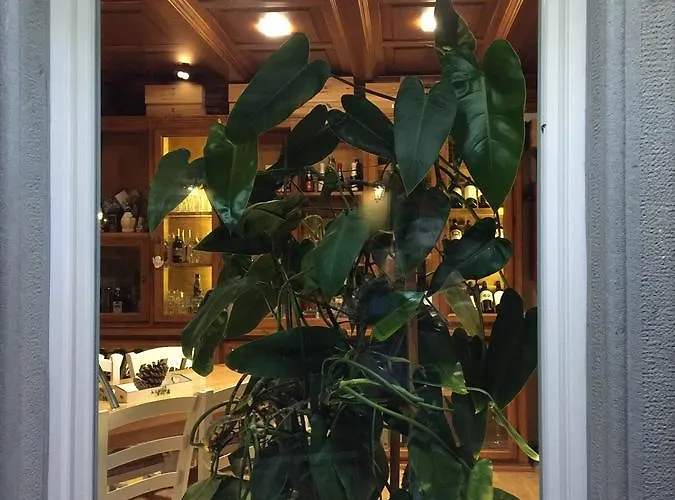 Hotel Val Del Rio 3*